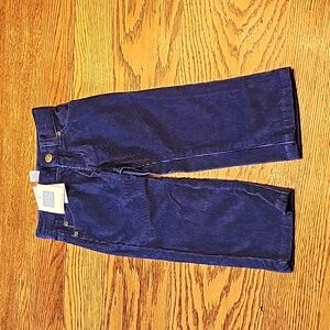 NWT Janie and Jack Blue Corduroy Pants Size 2T